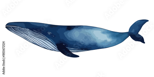 Watercolor blue whale illustration isolated on white background. Hand-painted ocean animal artwork with textured details. Marine wildlife design for posters, decor, print.