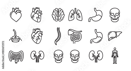 Human organ icon set representing anatomy and medical concepts vector design