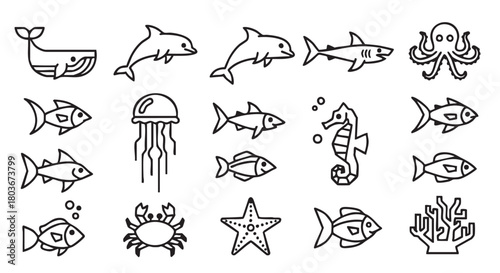 Marine life line art illustration with various sea creatures design