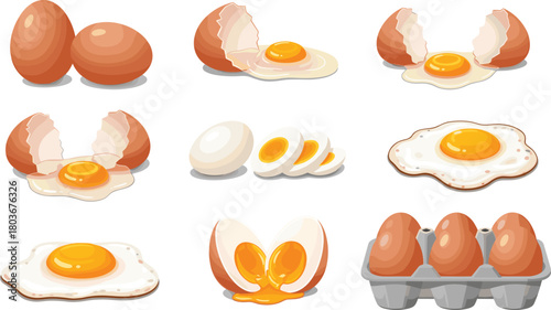 Egg illustration set, cracked eggs, boiled egg slices, fried egg, soft-boiled yolk, egg carton, cooking stages, breakfast food, protein source