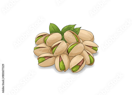 Wallpaper Mural Open Pistachios with Leaves Illustration
 Torontodigital.ca