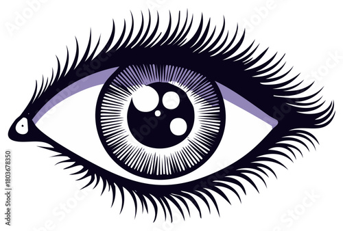 Stylized human eye with long lashes vector graphic illustration