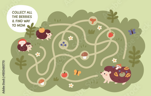 Cute hedgehog game. Little funny animals, educational kids maze, help hedgehogs to get to mom, finding right way, childish template, cartoon flat isolated wildlife garish vector concept