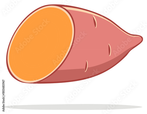 Illustration of a Sectioned Sweet Potato Vegetable Showcasing Vibrant Orange Flesh