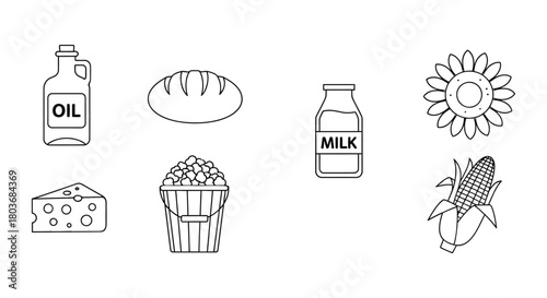 Match foods to their source in this fun learning activity today