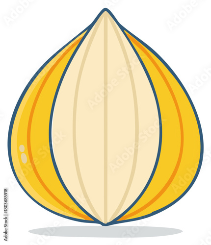 Stylized cartoon vector illustration of a single hazelnut with a cracked open shell isolated