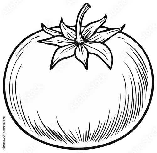 Black and white illustration of a ripe tomato with a stem and leaves in a hand drawn sketch style