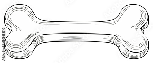 Monochrome graphic illustration of a simple bone, hand-drawn sketch art style, essential pet or animal concept.