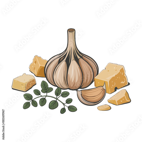 A whole bulb of garlic with several wedges of aged yellow cheese and fresh green herb sprigs isolated on white background