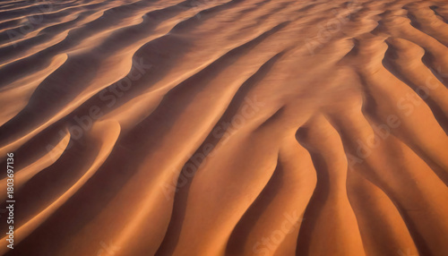 Fototapeta Naklejka Na Ścianę i Meble -  Golden desert sand dunes with rippling patterns illuminated by warm sunlight