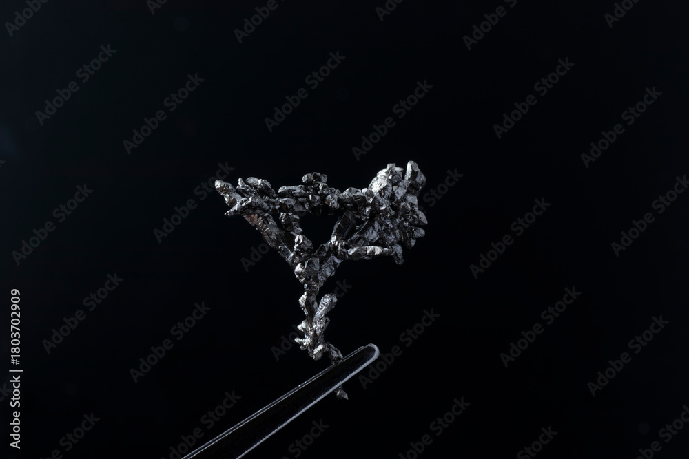 Fototapeta premium titanium crystal branches