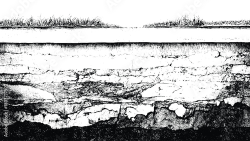 Underground soil layers with grass roots, vintage black and white engraving style isolated on white background, Vector, illustration