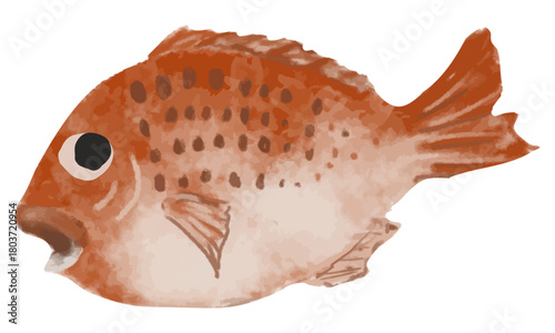 水彩で描いた鯛のイラスト（ベクター素材）