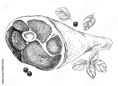 Raw pork knuckle leg vector