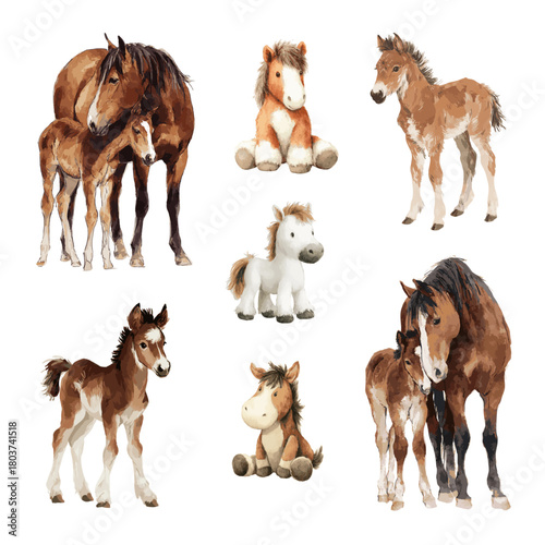 Watercolor Horse and Foal Illustration Set 