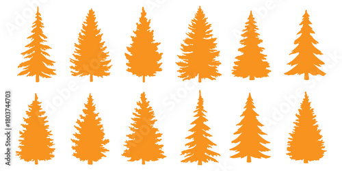 Pine trees collection. Conifer tree silhouettes on the white background Collection. Bundle of trees.