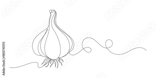 Garlic in continuous line art drawing style