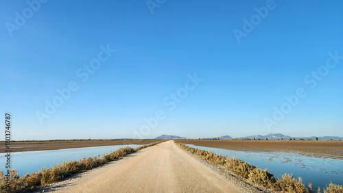A straight, raised dirt road divides the water of a coastal lagoon, flanked by low salt-tolerant vegetation, leading toward hazy distant mountains, emphasizing human access in a natural habitat