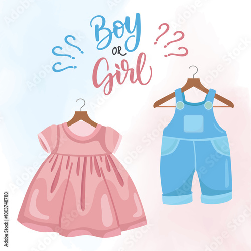 Gender reveal cute pink and blue illustration dress and coverall on hanger