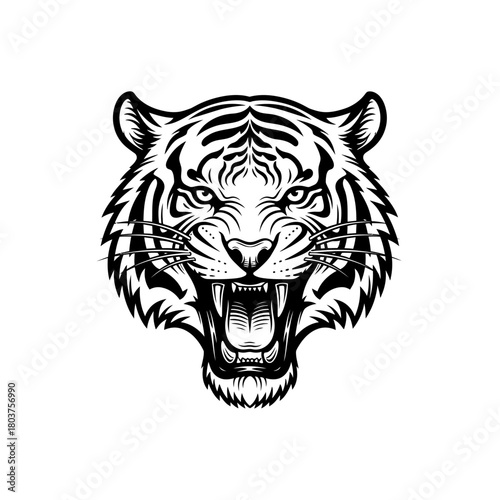 Fierce Tiger Head Roaring with Open Mouth and Sharp Teeth.