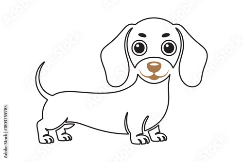 Cute cartoon dachshund illustration on a white background