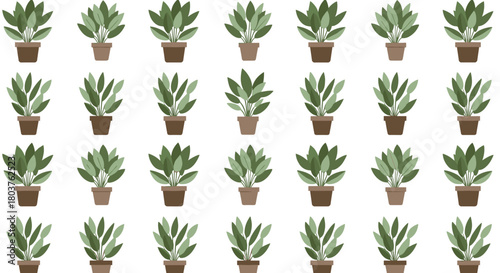 A collection of potted green leafy plants arranged in a grid pattern.
