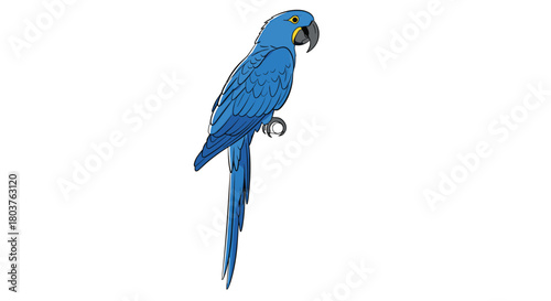 A vibrant blue macaw parrot perched elegantly on a branch against a white background, showcasing its stunning plumage and long tail feathers.