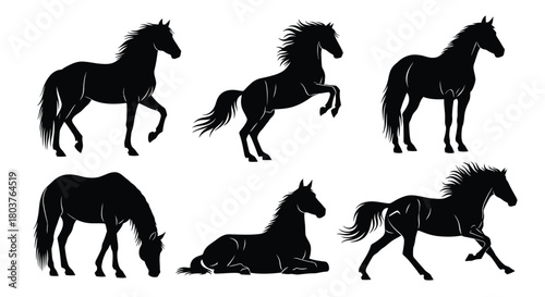 Horse silhouette vector equestrian animal design collection art