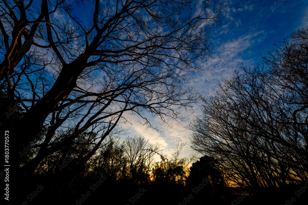 Fototapeta premium 散歩の途中で見つけた冬のドラマチックな夕景