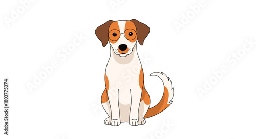 A cute jack russell terrier dog sits attentively on a plain white background looking forward