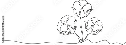 Delicate single line drawing of fluffy cotton bolls blossoming on stems, representing nature's softness and purity.