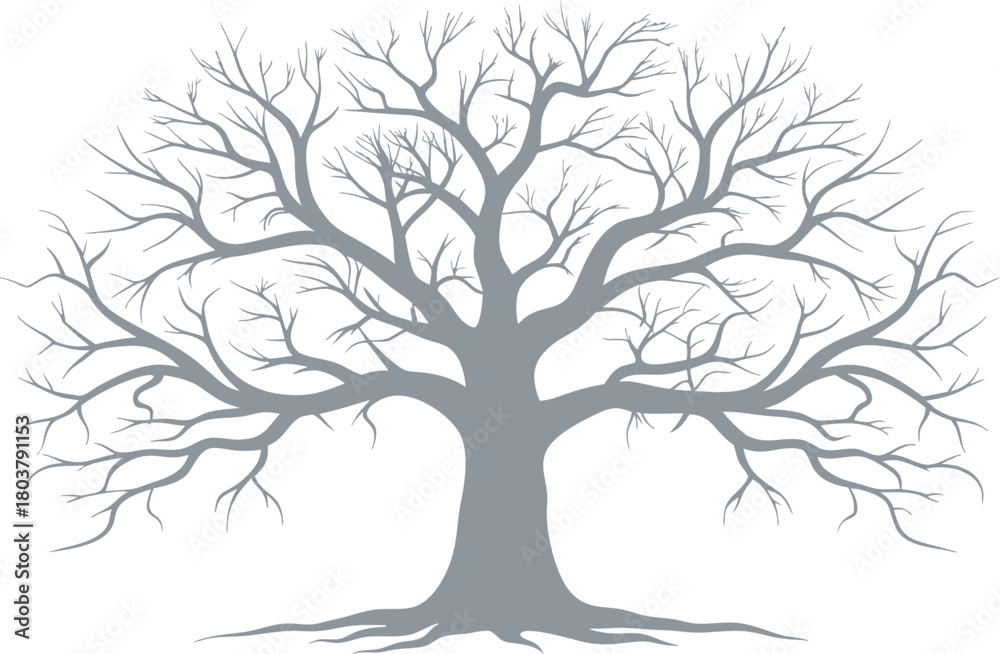 Fototapeta premium Bare Tree Silhouette with Intricate Branches and Roots vector illustration