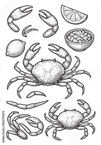 Vintage Nautical Collection with Crab, Anchor, and Ship's Wheel Fresh Crab Seafood Recipes and Cooking Guide Crab Seafood Delicacies: Top Cooking Ideas