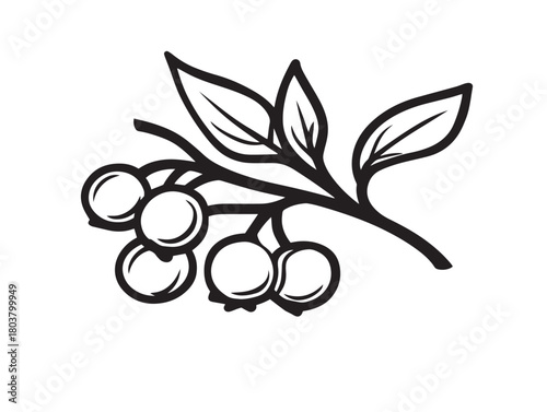 Berry branch icon vector illustration solid black white background harvest