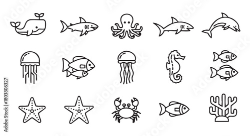 Sea creatures outline vector illustration minimalist design cute and playful
