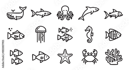 Set of sea animals line icons vector illustration in white background