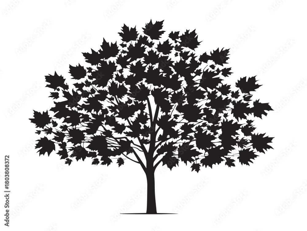 Obraz premium Maple tree icon vector illustration solid black on white background graphic