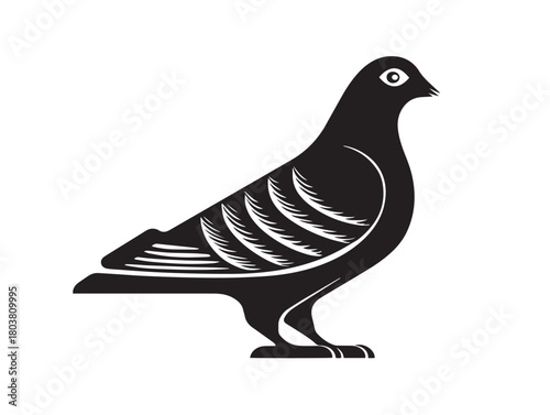 Pigeon icon vector illustration solid black white background bird symbol
