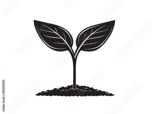 Seedling icon vector illustration solid black on a pure white background
