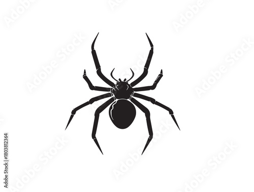 Spider icon vector illustration solid black on a pure white background