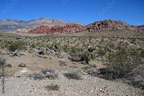 Red Rock Canyon in Nevada, USA. 