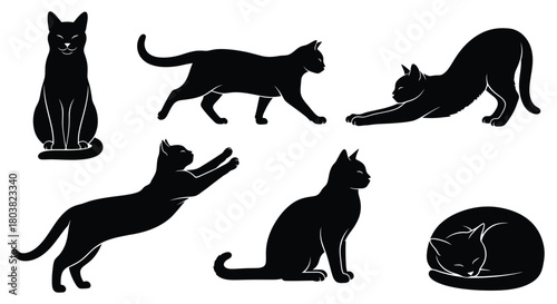 Silhouette of cat isolated on vector illustration of feline in different poses