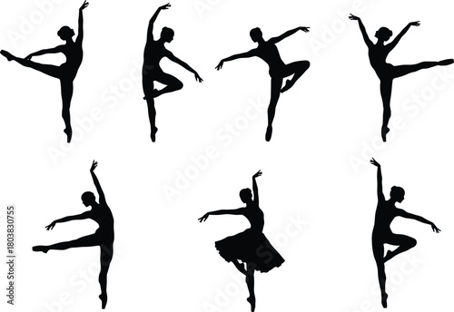 Ballet dancers in elegant poses, classical dance, performance art, grace, movement, choreography flat vector illustration