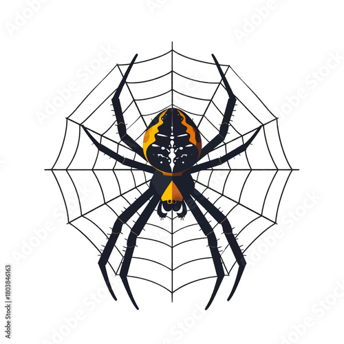 Dark Spider on Web with Yellow Markings and Black Legs on White Background