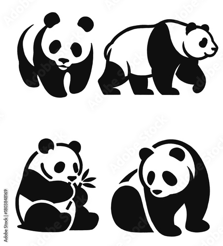 Draw panda illustration design for templet.