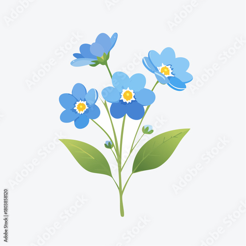 Blue forget-me-not flowers with transparent background