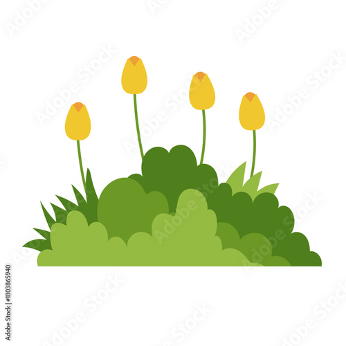 Green Bush Illustration