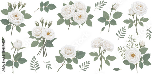 Elegant white rose floral clipart set with botanical leaves, detailed flower illustrations perfect for wedding decor, invitations, crafts, and digital designs
