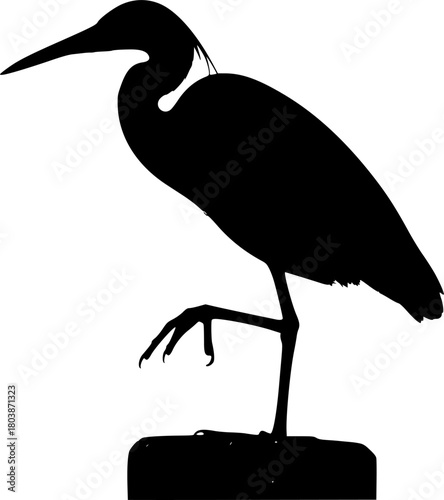 A silhouette of a bird standing on a rock
