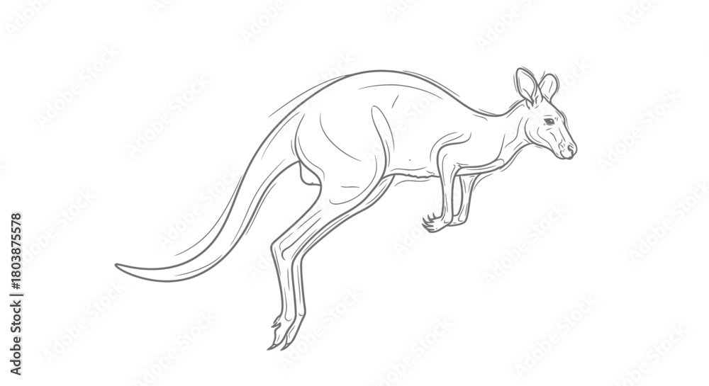 Fototapeta premium Line Art Kangaroo Illustration